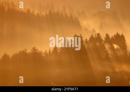 Herbstmorgen im Siegerland. Nach einer Kalten Nacht liegt Nebel ueber über dem Ort Siegen-Oberschelden. Die sonne ist aufgegangen und beleuchtet im Gegenlicht den Ort, Wald und Nebel. Herbst im Siegerland AM 04.11.2024 à Siegen/Deutschland. *** Matin d'automne à Siegerland après une nuit froide, le brouillard coule sur le village de Siegen Oberschelden le soleil s'est levé et illumine le village, la forêt et le brouillard en contre-jour automne à Siegerland le 04 11 2024 à Siegen Allemagne Banque D'Images