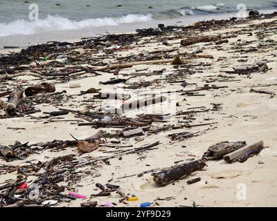 Une plage lourdement jonchée de bois et de plastique Banque D'Images