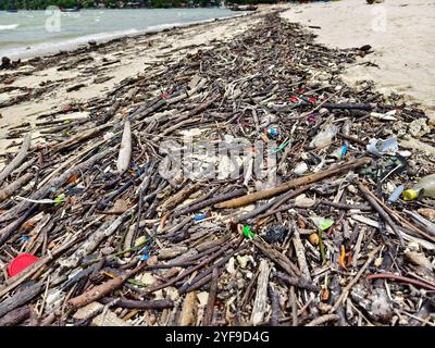 Une plage lourdement jonchée de bois et de plastique Banque D'Images