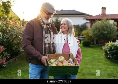 Portrait d'un beau couple aîné à l'extérieur dans un jardin d'automne, tenant caisse pleine de pommes fraîchement cueillies. Banque D'Images