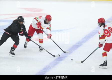 Les deux membres de l'équipe luttent férocement. Beijing, China.3rd novembre 2024. Le premier Championnat asiatique de hockey sur glace féminin s'est terminé au Shougang Park Ice Hockey Arena à Beijing, le 3 novembre 2024. L'équipe féminine chinoise de hockey sur glace remporte la deuxième place. Crédit : Zhang Xiangyi/China News Service/Alamy Live News Banque D'Images