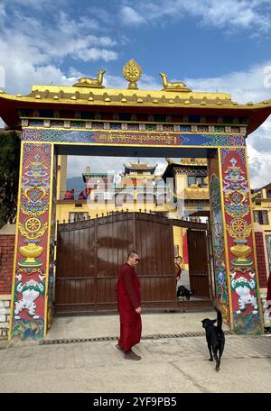 Moine bouddhiste devant le monastère de Bir Billing, Himachal Pradesh, Inde Banque D'Images