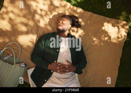 Vue en angle élevé du jeune homme sieste sur le tapis dans le parc Banque D'Images