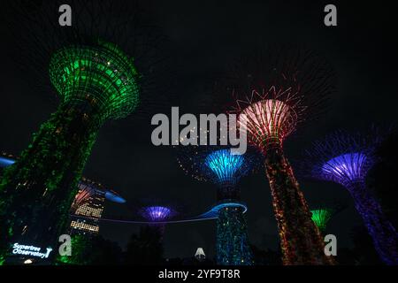 Singapour - 14 août 2024 : spectacle lumineux d'arbres géants au Garden by the Bay la nuit à Singapour. Célèbre monument et populaire pour le tourisme Banque D'Images