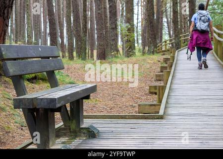 .personne marchant dans le parc avec un banc sur un pont en bois Banque D'Images