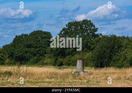 La pierre de rune Karlevi, probablement de l'âge viking vers 1000, près de Färjestaden sur l'île de Öland, Kalmar län, Suède. Banque D'Images