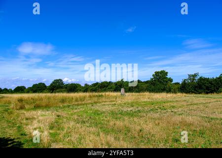 La pierre de rune Karlevi, probablement de l'âge viking vers 1000, près de Färjestaden sur l'île de Öland, Kalmar län, Suède. Banque D'Images