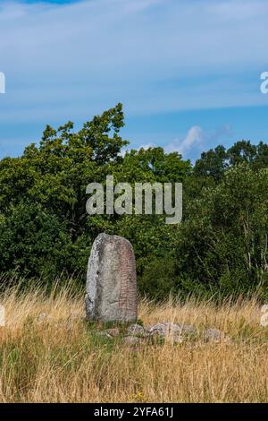 La pierre de rune Karlevi, probablement de l'âge viking vers 1000, près de Färjestaden sur l'île de Öland, Kalmar län, Suède. Banque D'Images