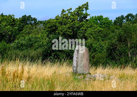La pierre de rune Karlevi, probablement de l'âge viking vers 1000, près de Färjestaden sur l'île de Öland, Kalmar län, Suède. Banque D'Images
