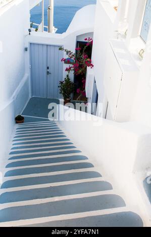 Rue traditionnelle étroite en escalier menant à la mer. Village d'Oia, à l'île de Santorini, Grèce. Paysage des îles grecques Banque D'Images