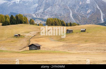 Belle Montagne chalets en bois du célèbre l'Alpe di Siusi vallée sur les Dolomites, le Tyrol du Sud en Italie Banque D'Images