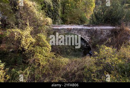Ancien pont lapidé médiéval dans la forêt en automne. Agia mauri Koilani Pont vénitien, Chypre, Europe Banque D'Images