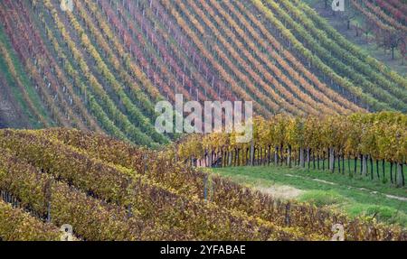 Paysage vallonné avec des vignes, photographié en automne à Cejkovice, au sud de la Moravie en République tchèque. La région est connue sous le nom de Toscane morave Banque D'Images