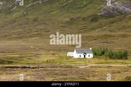 Ferme blanche écossaise typique utilisée comme maison d'hôtes ou auberge sous les montagnes dans la région de Glencoe dans les Highlands de l'Écosse au Royaume-Uni Banque D'Images