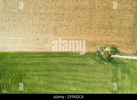 Fait image aérienne de terres agricoles de champ. Récolte en extérieur, Chypre, Europe Banque D'Images