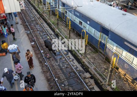 Varanasi, Inde, 14 mars 2017 : les Indiens sur la gare de Varanasi prêts à voyager, Asie Banque D'Images