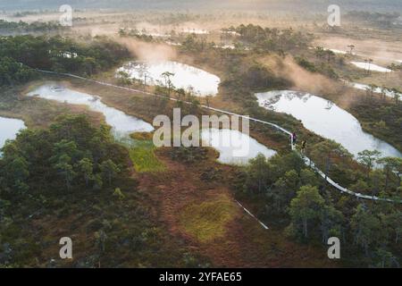 Nature de l'Estonie, sentier de randonnée sur un marais de Seli, tourbière au lever du soleil, brouillard des lacs, vue photo depuis un drone. Banque D'Images
