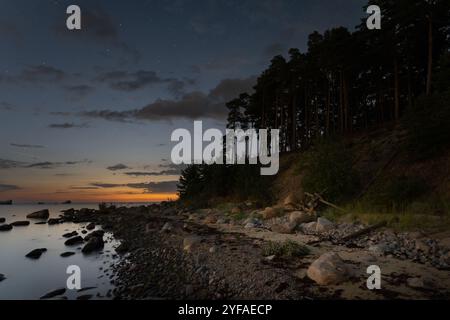 Scène nocturne en août, côte sablonneuse de l'île de Pedassaar, ciel étoilé, voie lactée et golfe de Finlande. Banque D'Images