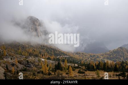 Vues à couper le souffle sur les pics de montagne de Langkofel ou Saslonch, chaîne de montagnes dans les dolomites couverts de brouillard pendant le lever du soleil dans le Tyrol du Sud, Ita Banque D'Images