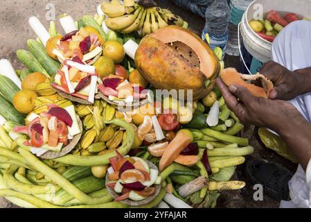 Panier plein de fruits et légumes frais et un homme caucasien les vendant sur un marché de fruits en Inde Banque D'Images