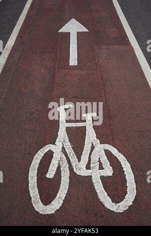 Piste cyclable avec marquages sur l'asphalte dans une ville Banque D'Images