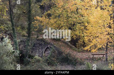 Paysage d'automne dans un ancien pont lapidé et feuilles d'érable jaune sur les arbres et le sol.Drakos pont médiéval Troodos Chypre Banque D'Images