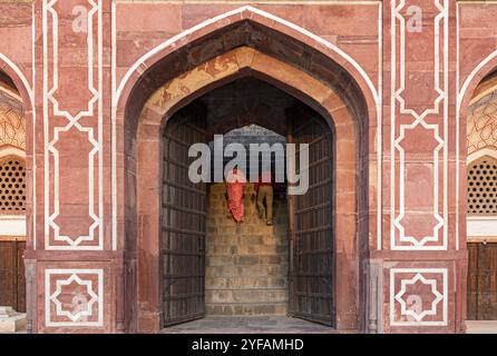 Des gens non reconnus marchant sur les escaliers en briques menant à l'entrée du tombeau de Humayun à New Delhi, Inde, Asie Banque D'Images