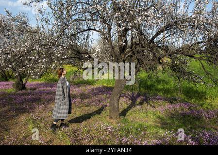 Femme marchant sur un champ de fleurs en fleurs au printemps. Arbre florissant d'amande au printemps. Paysage chypriote Banque D'Images