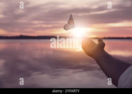 Homme et papillon près de la rivière au coucher du soleil, gros plan. Santé, printemps, liberté Banque D'Images