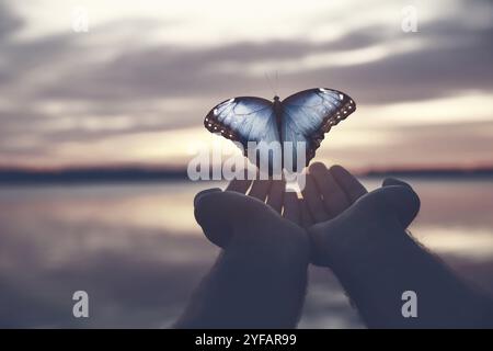 Homme et papillon près de la rivière au coucher du soleil, gros plan. Santé, printemps, liberté Banque D'Images