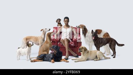 Femme élégante assise sur un fauteuil déchiré et posant avec un grand groupe de chiens de différentes races Banque D'Images