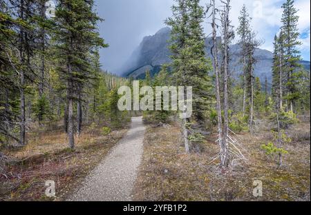 Sentier de randonnée menant à une montagne entourée de brouillard au lac Emeral dans le parc national Yoho, Colombie-Britannique, Canada Banque D'Images