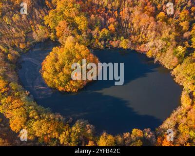 Herbst in Hessen Das Laub der Bäume um den Gänseweiher BEI Maintal-Bischofsheim herum, in der Nähe von Frankfurt am main, Hat sich herbstlich bunt verfärbt. Einige Bäume haben ihr Laub bereits abgeworfen. DAS Licht der Herbstsonne taucht die Landschaft in goldenes Licht. Luftbild mit einer Drohne Maintal-Bischofsheim Gänseweiher Hessen Deutschland *** automne en Hesse le feuillage des arbres autour de l'étang de Gänseweiher près de Maintal Bischofsheim, près de Francfort-sur-le-main, est devenu coloré en automne certains arbres ont déjà jeté leurs feuilles la lumière du soleil d'automne baigne le paysage en Go Banque D'Images