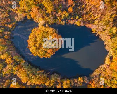 Herbst in Hessen Das Laub der Bäume um den Gänseweiher BEI Maintal-Bischofsheim herum, in der Nähe von Frankfurt am main, Hat sich herbstlich bunt verfärbt. Einige Bäume haben ihr Laub bereits abgeworfen. DAS Licht der Herbstsonne taucht die Landschaft in goldenes Licht. Luftbild mit einer Drohne Maintal-Bischofsheim Gänseweiher Hessen Deutschland *** automne en Hesse le feuillage des arbres autour de l'étang de Gänseweiher près de Maintal Bischofsheim, près de Francfort-sur-le-main, est devenu coloré en automne certains arbres ont déjà jeté leurs feuilles la lumière du soleil d'automne baigne le paysage en Go Banque D'Images