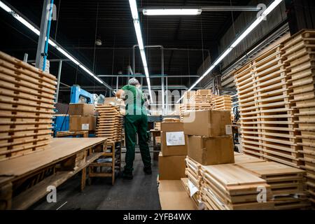 Ouvrier manipulant des piles de planches de bois dans une usine de travail du bois, préparant des matériaux pour un traitement ultérieur sous éclairage industriel Banque D'Images