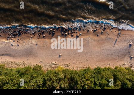 Vue aérienne d'une plage avec des vagues s'écrasant doucement contre le rivage sablonneux, bordé par une forêt dense et verdoyante Banque D'Images