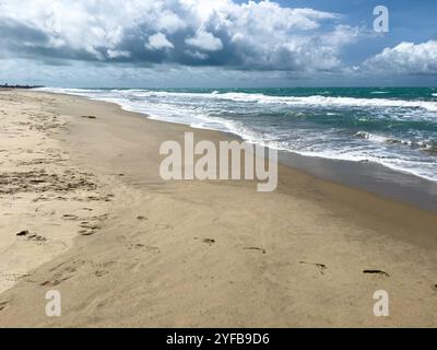 La plage de Dhanushkodi, située près d'Arichal Munai, est connue pour son sable immaculé et ses eaux claires. Dhanushkodi est une ville abandonnée au sud-est Banque D'Images