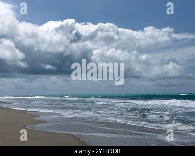 La plage de Dhanushkodi, située près d'Arichal Munai, est connue pour son sable immaculé et ses eaux claires. Dhanushkodi est une ville abandonnée au sud-est Banque D'Images