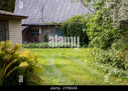 Ancienne maison rurale partiellement couverte de lierre et entourée de plantes vertes denses, avec des murs de briques altérées et un toit en étain. Banque D'Images