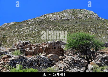 Vestiges d'une colonie sur le plateau de Pano Meri, Tilos, îles du Dodécanèse, sud de la mer Égée, Grèce. Banque D'Images