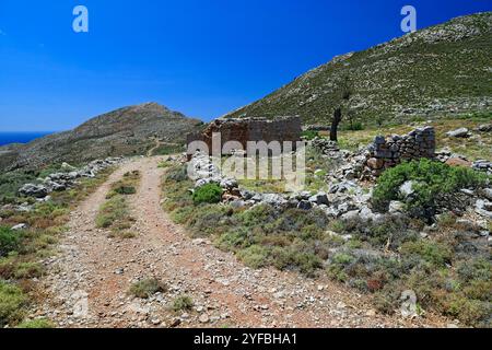 Vestiges d'une colonie sur le plateau de Pano Meri, Tilos, îles du Dodécanèse, sud de la mer Égée, Grèce. Banque D'Images