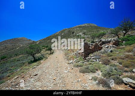 Vestiges d'une colonie sur le plateau de Pano Meri, Tilos, îles du Dodécanèse, sud de la mer Égée, Grèce. Banque D'Images