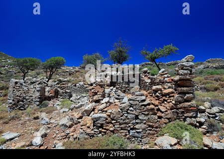 Vestiges d'une colonie sur le plateau de Pano Meri, Tilos, îles du Dodécanèse, sud de la mer Égée, Grèce. Banque D'Images