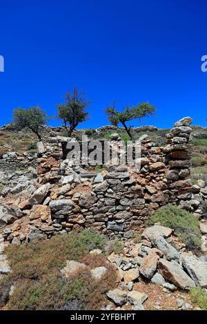 Vestiges d'une colonie sur le plateau de Pano Meri, Tilos, îles du Dodécanèse, sud de la mer Égée, Grèce. Banque D'Images