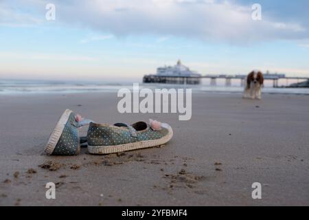 Une paire de chaussures en toile sur la plage à marée basse. Banque D'Images