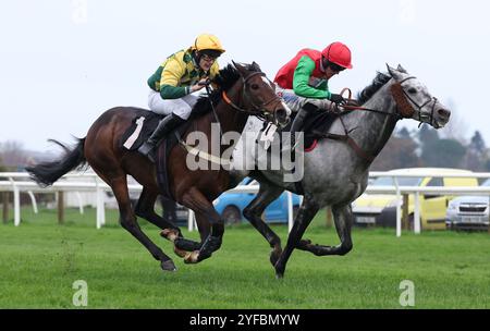 Plumpton, Royaume-Uni. 4 novembre 2024. Le vainqueur de la course Irish Hill monté par Harry Cobden (Red Cap) remet la dernière place devant Mark of Gold monté par Rob Hargreaves lors du Mannok Build GB Ltd handicap Hurdle à Plumpton Racecourse. Crédit : James Boardman/Alamy Live News Banque D'Images