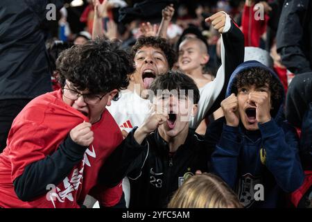 New York, NY, États-Unis, 3 novembre 2024 : les fans réagissent pendant le match entre les New York Red Bulls et Columbus Crew lors du 1er tour des séries éliminatoires de la MLS Audi Cup au Red Bull Arena de Harrison, New Jersey, le 3 novembre 2024. Selon les règles établies par la MLS, le premier tour des séries éliminatoires se compose du meilleur des 3 jeux et tout jeu doit se terminer par la victoire pour l'un des adversaires avec un penalty au cas où le jeu se terminerait par un nul. Les Red Bulls ont gagné au penalty. Crédit : Lev Radin/Alamy Live News Banque D'Images