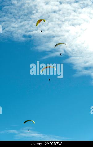 Quatre parapentes s'élèvent dans le ciel par une journée claire et lumineuse Banque D'Images