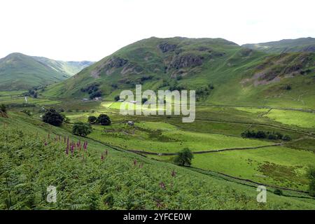 Upper Martindale and the Wainwright 'The NAB' & 'Beda Fell' from the Path to Steel Knotts, Lake District National Park, Cumbria, Angleterre, Royaume-Uni. Banque D'Images