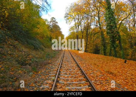 Paysage pittoresque de voies ferrées s'étendant au loin dans la forêt d'automne. Banque D'Images